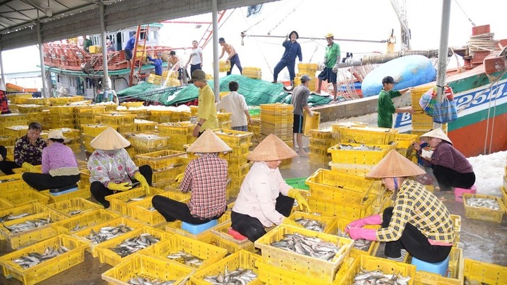 Đồng Tháp ghi nhận kết quả tích cực trong phòng, chống khai thác IUU - ảnh 2