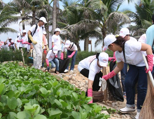 Da Nang City responds to Vietnam’s Sea and Islands Week  - ảnh 1