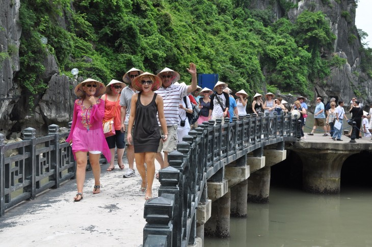 Deputy Prime Ministers call for reform of tourism industry - ảnh 1