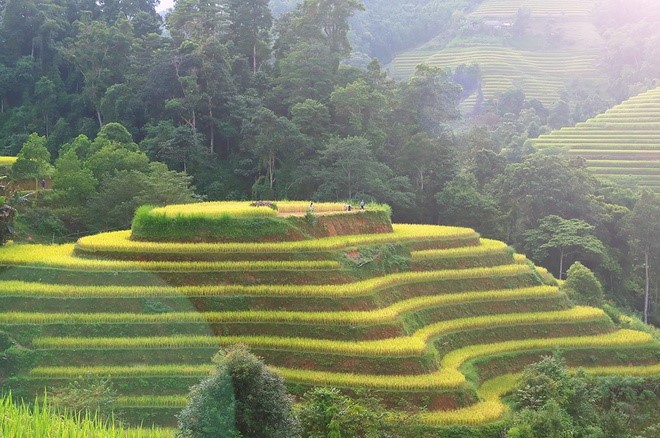 Lyrical rice terraced landscapes of Hoang Su Phi - ảnh 4