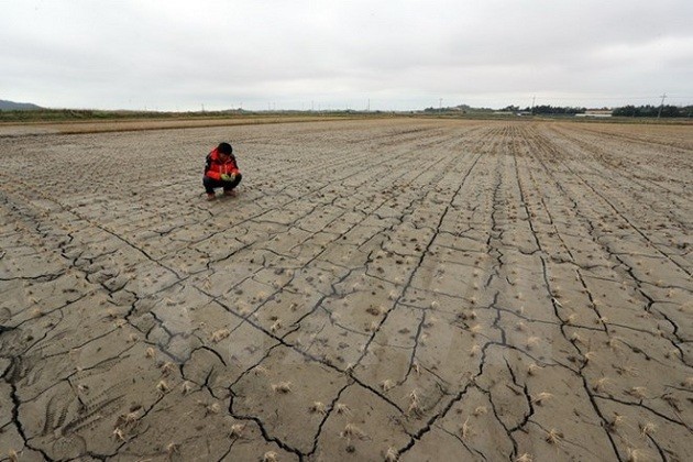 World mayors urge G20 leaders to ‘save the planet’ - ảnh 1