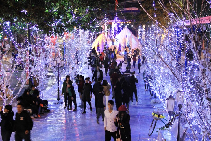 Vietnam celebrates New Year 2018  - ảnh 1