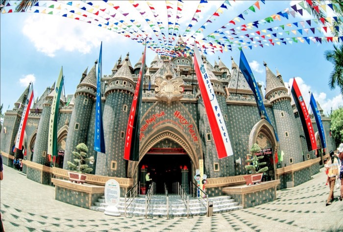 Vietnam celebrates New Year 2018  - ảnh 2