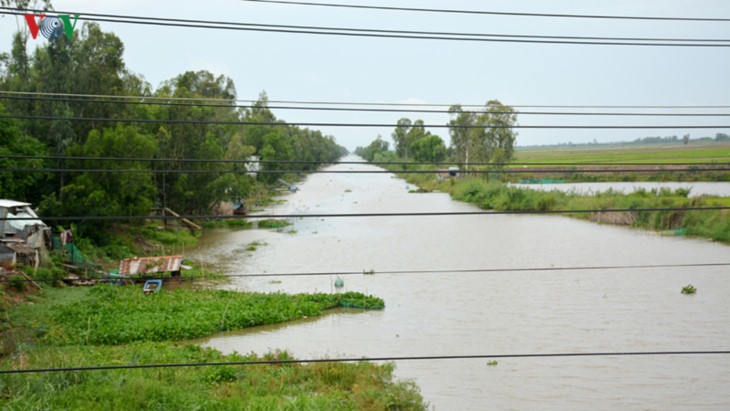 Late Prime Minister turns fallow Mekong land into major rice basket - ảnh 1