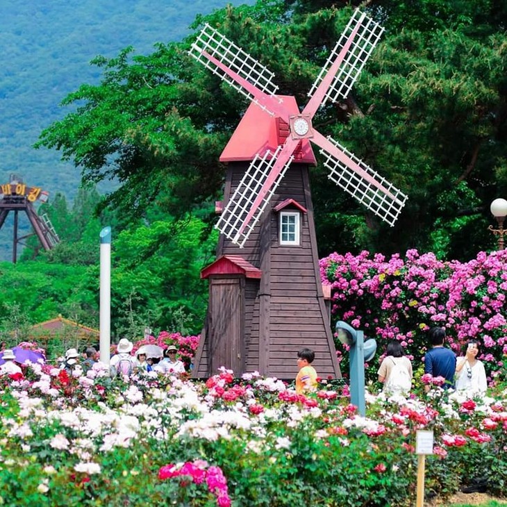 Da Lat Flower Festival attracts crowds of visitors - ảnh 1