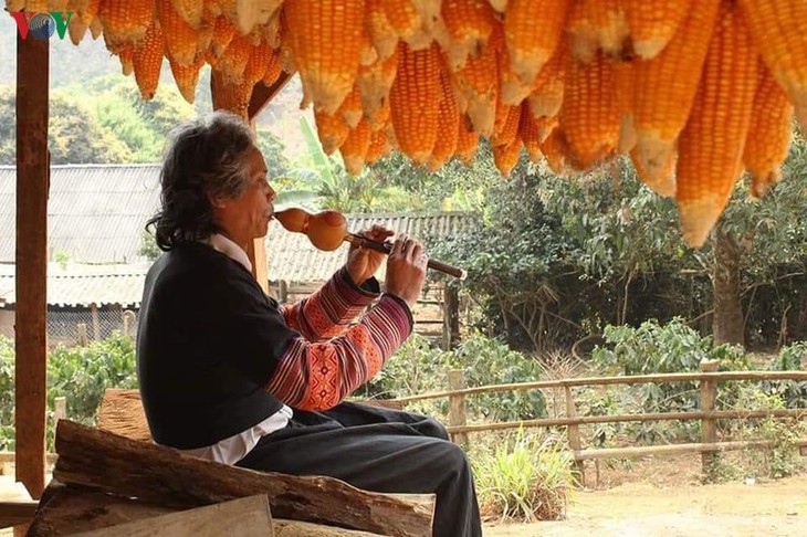 The musician of nature  - ảnh 1