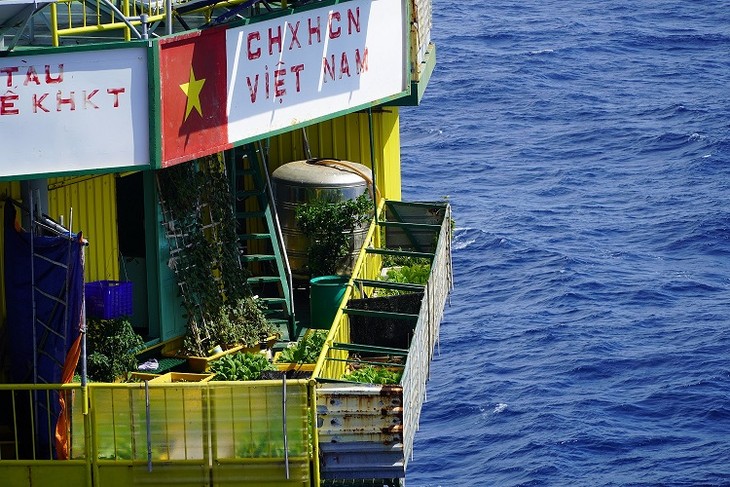 Farming on offshore platforms - ảnh 1