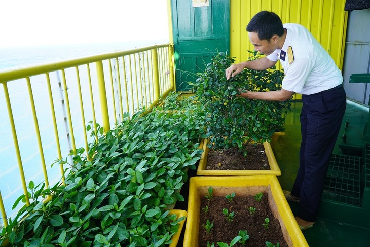 Farming on offshore platforms - ảnh 2