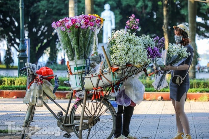 Ox-eye daisies create marvelous scenery on Hanoi streets - ảnh 5