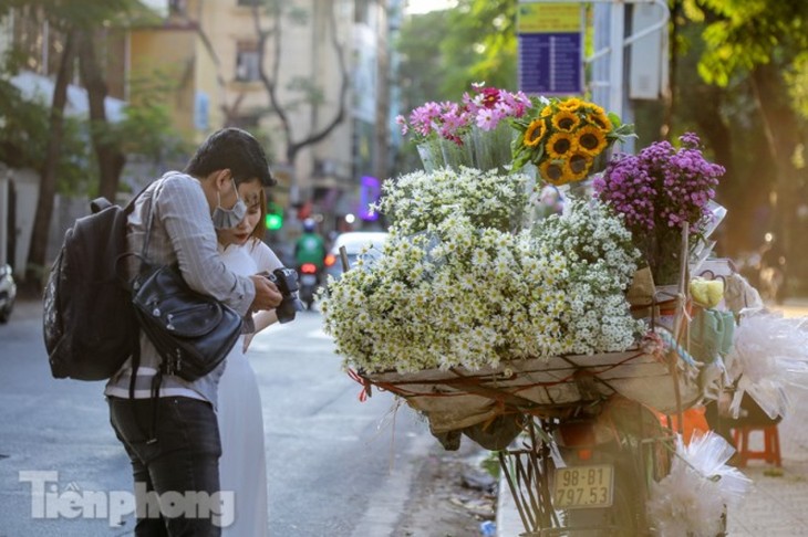 Ox-eye daisies create marvelous scenery on Hanoi streets - ảnh 6