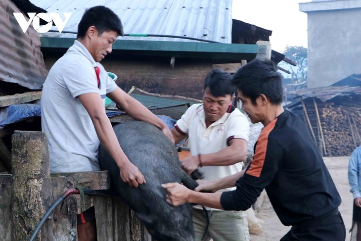 Early New Year celebrations of Ha Nhi ethnic people in northern Vietnam - ảnh 4