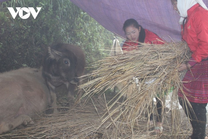 Protection measures urged to cope with extreme cold weather, coastal erosion  - ảnh 1