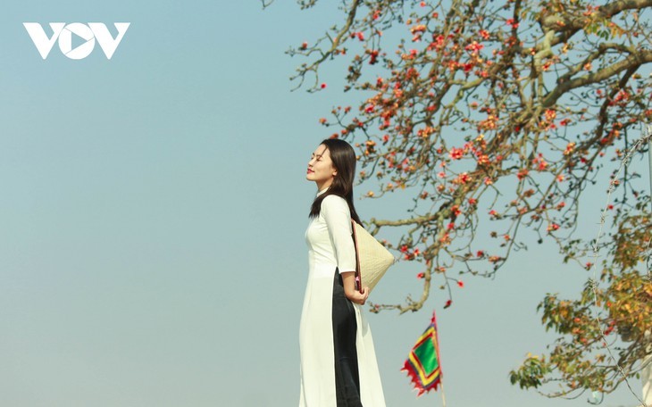 Bombax ceiba in full bloom across Bac Giang province  - ảnh 12