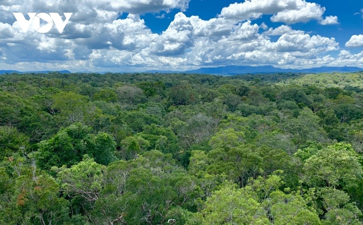 Kon Ha Nung Plateau recognized by UNESCO as Vietnam’s new Biosphere Reserve - ảnh 1