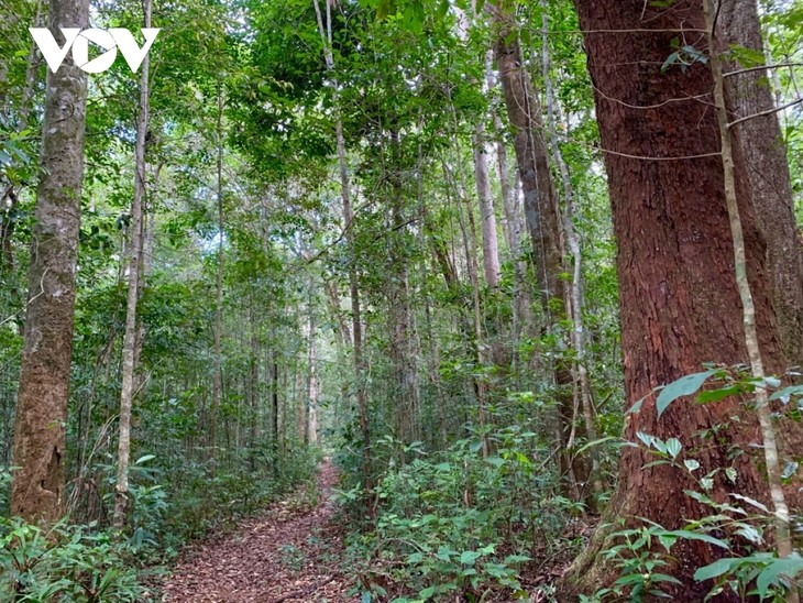 Kon Ha Nung Plateau recognized by UNESCO as Vietnam’s new Biosphere Reserve - ảnh 4