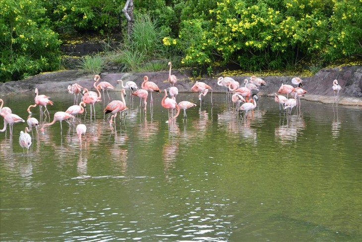 Major tourist attractions for foreign tourists in Phu Quoc - ảnh 4