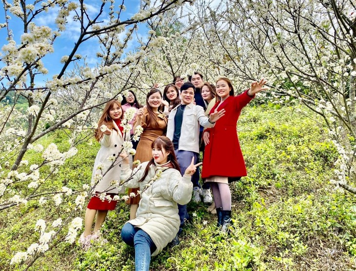 Plum flowers in full bloom in Bac Giang province - ảnh 4