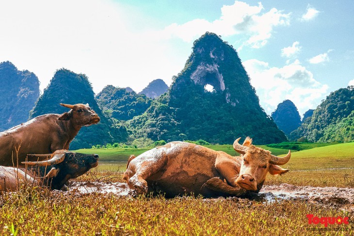 Magnificent Angel Eye Mountain in Cao Bang - ảnh 9