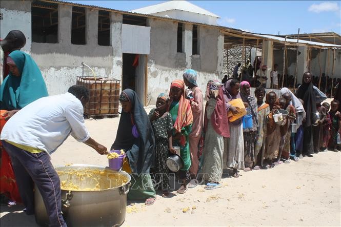 Hunger now killing one person every four seconds, NGOs say - ảnh 1