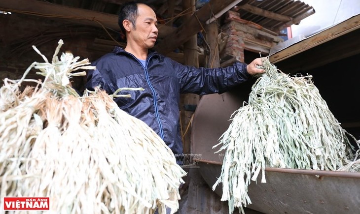 Vinh Thinh conical hat making village - ảnh 2