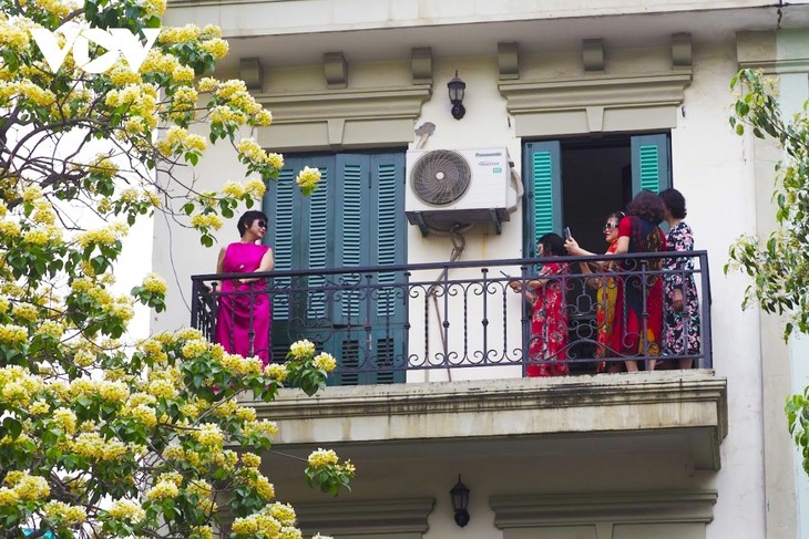 Stunning beauty of 300-year-old Hoa Bun tree in Hanoi - ảnh 9