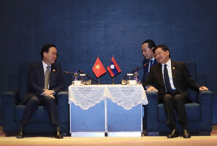 Vietnam treasures ties with Laos - ảnh 1