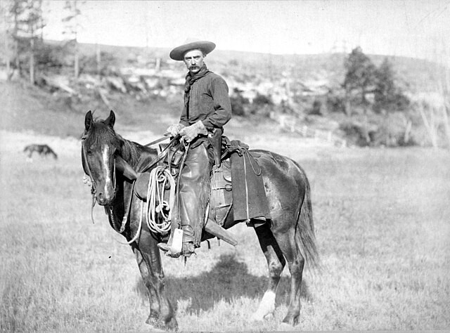 Rodeo - A symbol of the American Wild West - ảnh 2