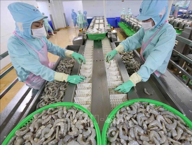 Fisheries export hits seven-month high  - ảnh 1