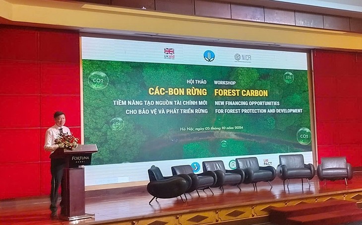 Forest carbon market holds substantial potential for forest protection and development  - ảnh 1