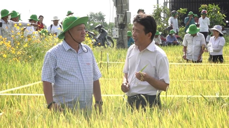 Tien Giang’s farmer becomes successful businessman - ảnh 1