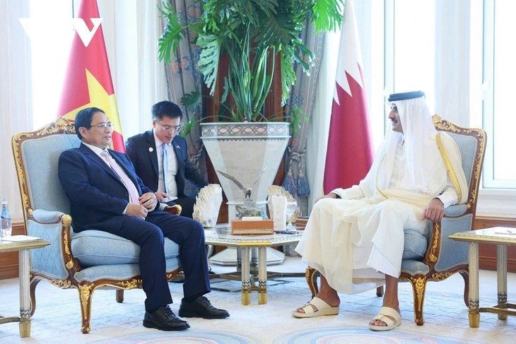 PM meets Qatar leaders in Doha - ảnh 1