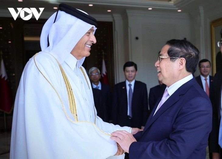 PM meets Qatar leaders in Doha - ảnh 2