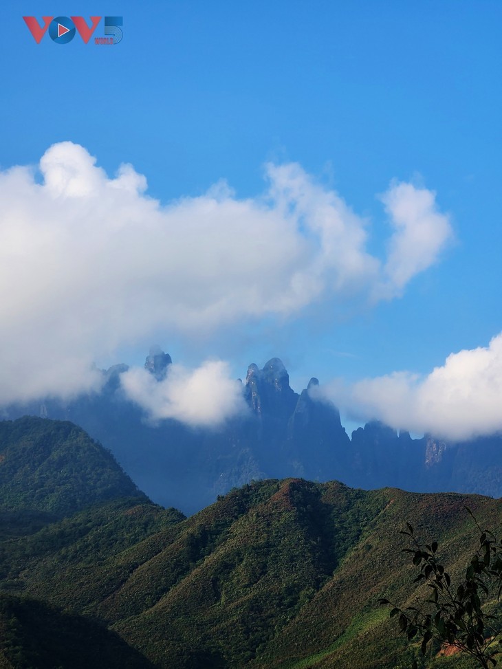 Cloud hunting on Ky Quan San mountain peak - ảnh 4