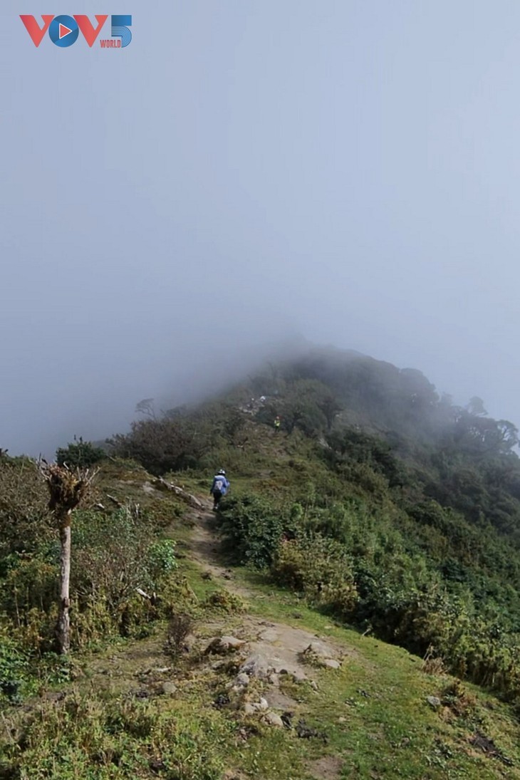 Cloud hunting on Ky Quan San mountain peak - ảnh 9