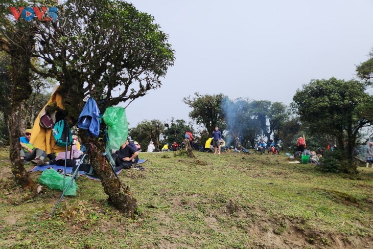 Cloud hunting on Ky Quan San mountain peak - ảnh 10