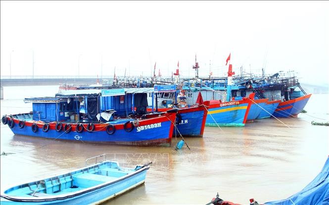 IUU fishing combat intensified in Quang Binh - ảnh 1