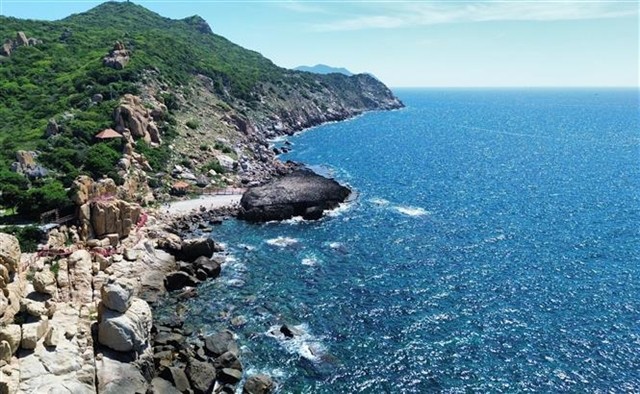 Vietnam plan to expand marine protected areas  - ảnh 1