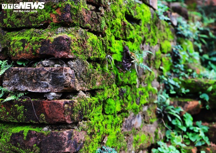 Close-up of the tallest Cham tower in Southeast Asia in Binh Dinh - ảnh 9