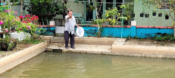 Ben Tre farmer prospers from clean gardening model - ảnh 2