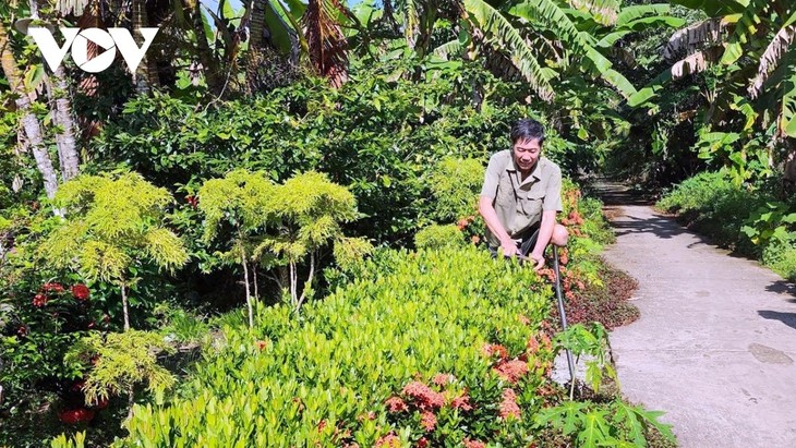 From battlefield to farmland: Ca Mau veteran spurs local economic growth  - ảnh 1