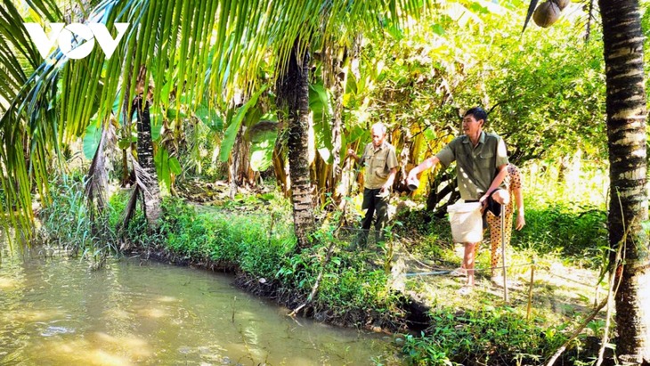 From battlefield to farmland: Ca Mau veteran spurs local economic growth  - ảnh 2