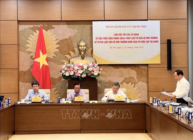 Vietnam integrates environmental requirements into construction, transport  - ảnh 1