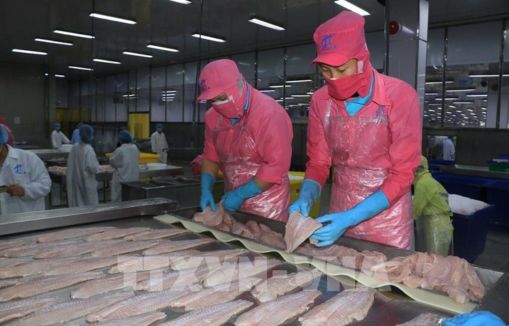 Dong Thap aims at 2 billion USD seafood exports by 2030 - ảnh 1
