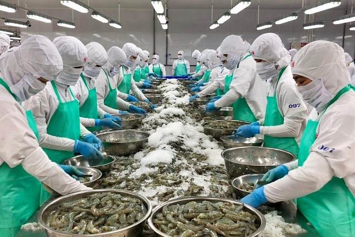 Vietnam seafood exports likely to reach 11 billion USD in 2025 - ảnh 1