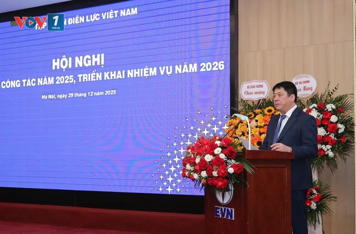 All communes nationwide have access to electricity: EVN - ảnh 1