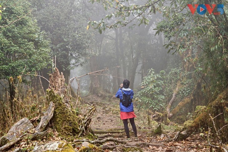 Vietnam’s Ta Xua ranks among world’s best off-grid travel spots for 2026 - ảnh 10