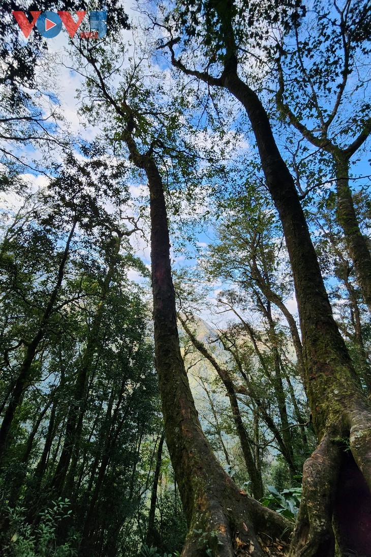 Vietnam’s Ta Xua ranks among world’s best off-grid travel spots for 2026 - ảnh 11