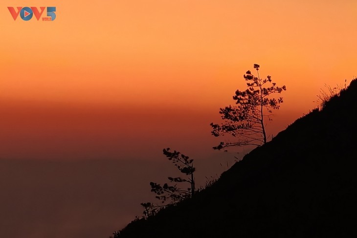 Vietnam’s Ta Xua ranks among world’s best off-grid travel spots for 2026 - ảnh 15