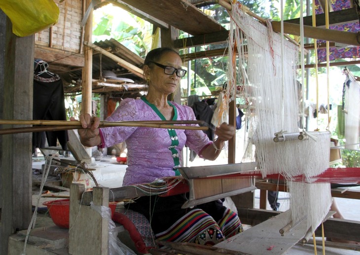 Unlocking the cultural wealth of the Thai in western Nghe An - ảnh 3