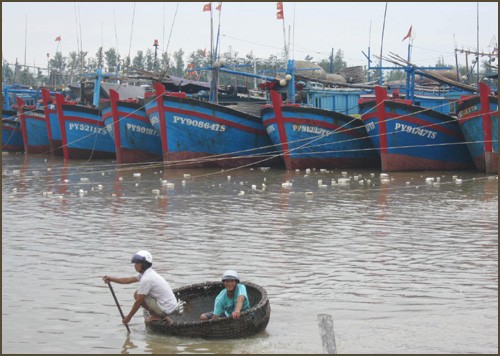 Cuộc họp khẩn Ban chỉ đạo phòng chống lụt bão Trung ương    - ảnh 1